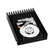 Western Digital VelociRaptor WD3000GLFS 300 GB фото