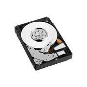 Western Digital VelociRaptor WD5000BHTZ 500 GB фото