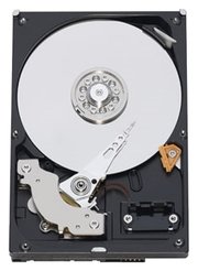 Western Digital WD Blue 500 GB (WD5000AAKX) фото