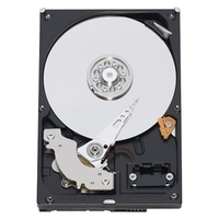 Western Digital WD Blue 500 GB (WD5000AAKX)