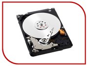 Western Digital WD Blue Mobile 2 TB (WD20NPVZ) фото