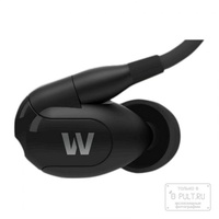 Westone W40