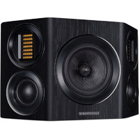 Wharfedale EVO 4.S