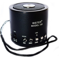 Wster WS-Q9BT