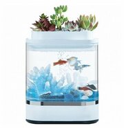 Xiaomi Geometry Mini Lazy Fish Tank (HF-JHYG005) фото