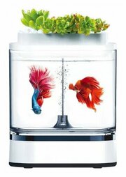 Xiaomi Geometry Mini Lazy Fish Tank Pro C300 фото