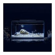 Xiaomi Petkit Origin Intelligent Fish Cylinder with Landscaping Twilight Jump Shadow Set 10L фото