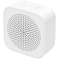 Xiaomi XiaoAI Portable Speaker