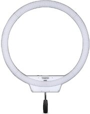 Yongnuo YN608 LED 5500K фото