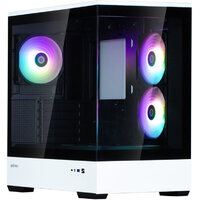 Zalman P30 BW