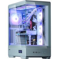 Zalman P50 DS